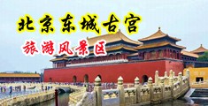 黑人巨屌狂操美女中国北京-东城古宫旅游风景区